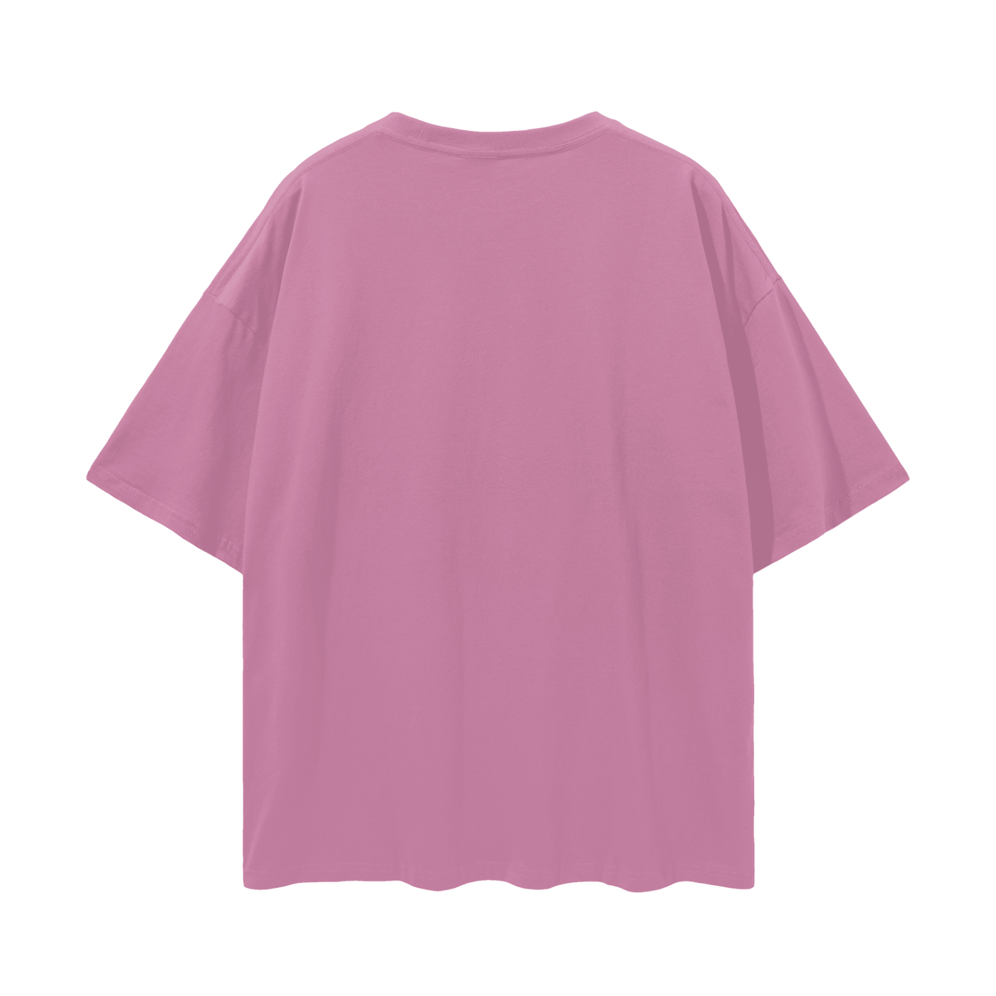 Tiny Legs Dapple Dachshund - Loose Drop Shoulder T-Shirt