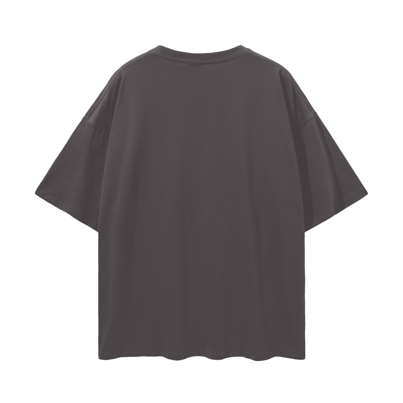 Tiny Legs Dapple Dachshund - Loose Drop Shoulder T-Shirt