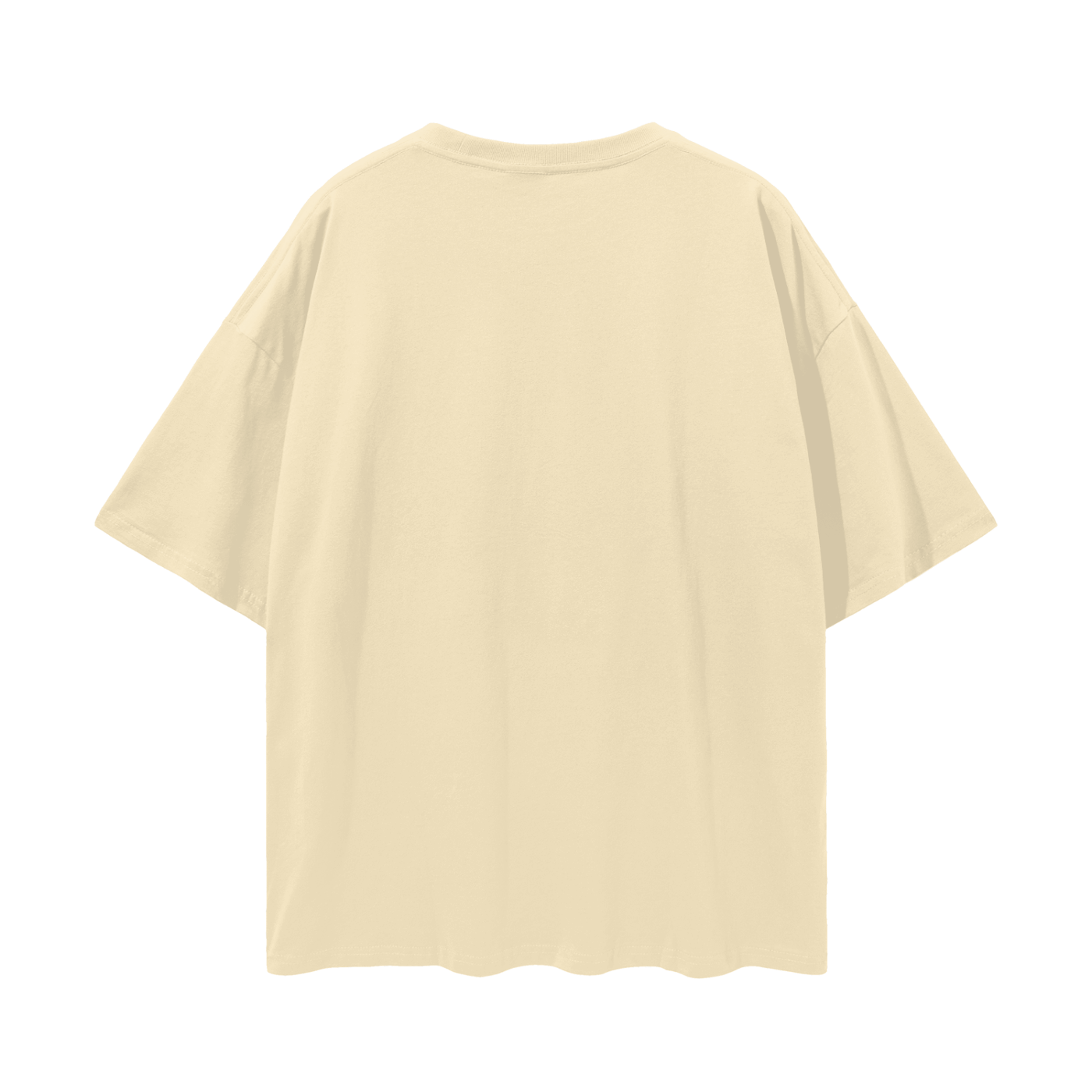 Tiny Legs Dapple Dachshund - Loose Drop Shoulder T-Shirt